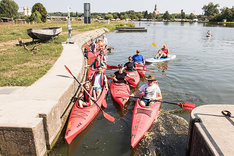 Sommer in Mainfranken