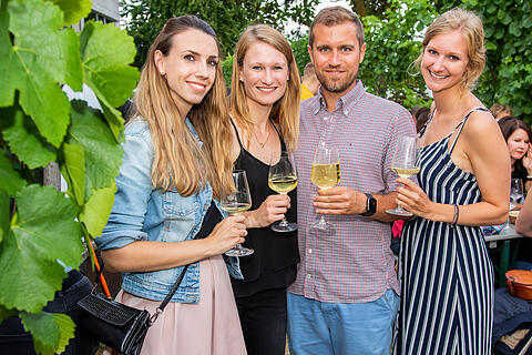 Wein am Stein