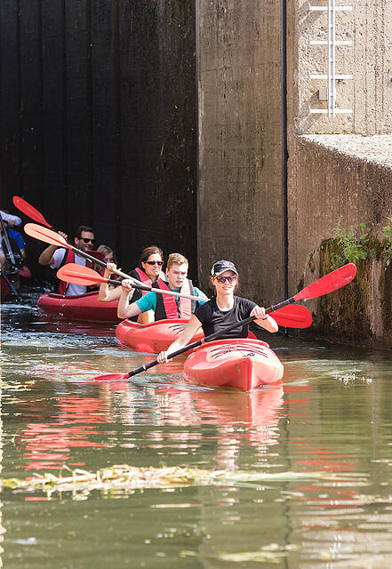Sommer in Mainfranken