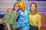 Ingo ohne Flamingo