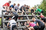 Rock the Race