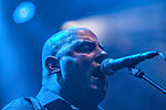 Broilers