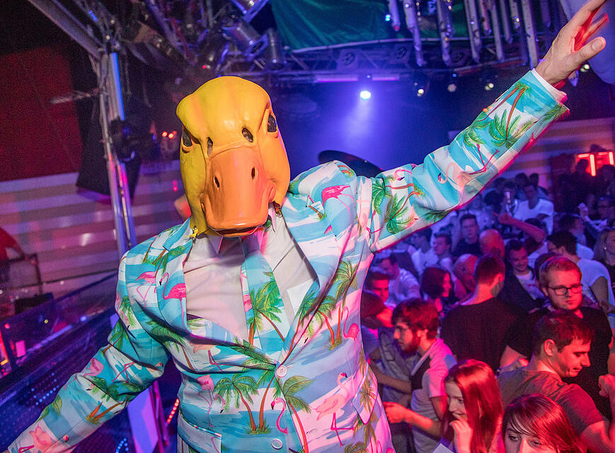 Ingo ohne Flamingo