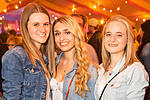 Weinfest Untereisenheim