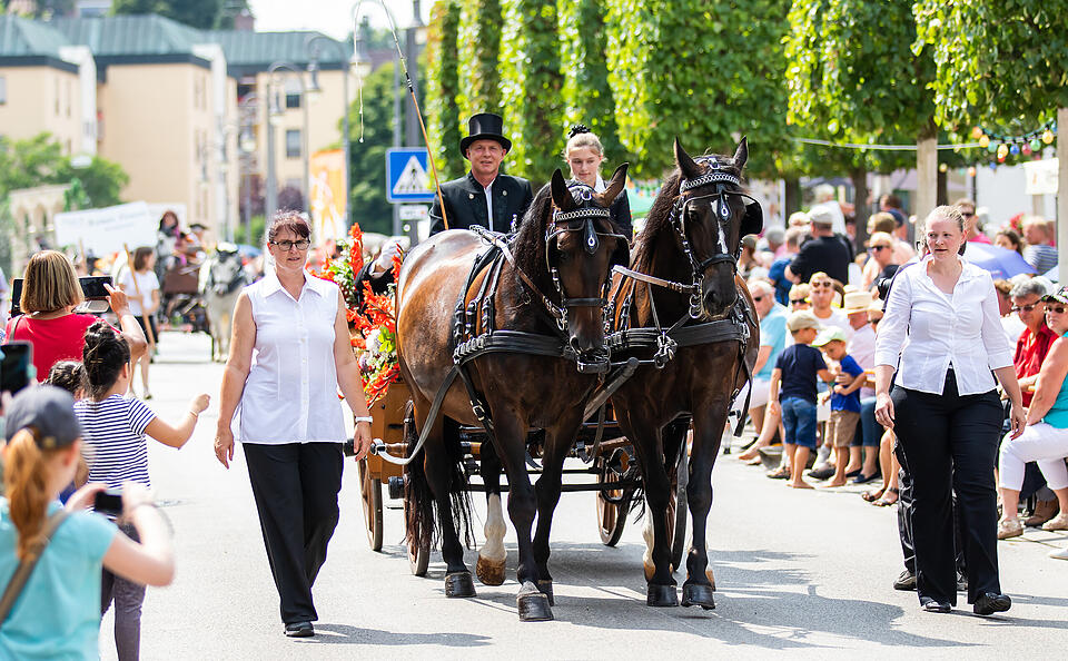 Rakoczy Fest Sonntag