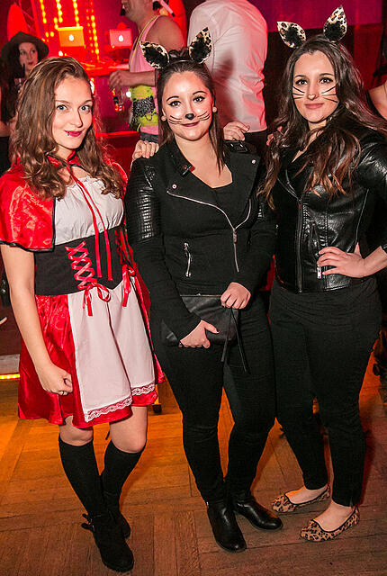 Porno Party