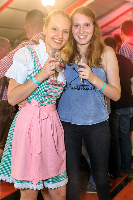 Weinfest Seinsheim