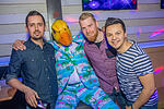 Ingo ohne Flamingo