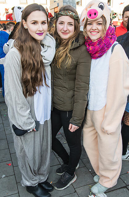 Faschingszug Heidingsfeld Teil 2