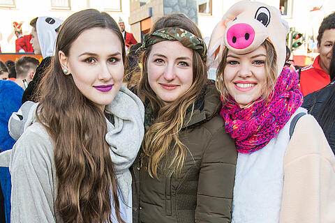 Faschingszug Heidingsfeld Teil 2