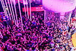 Mia Julia live