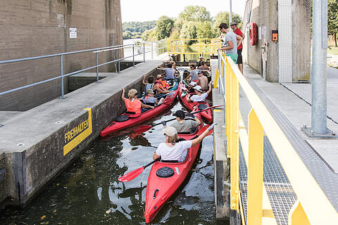 Sommer in Mainfranken