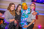 Ingo ohne Flamingo
