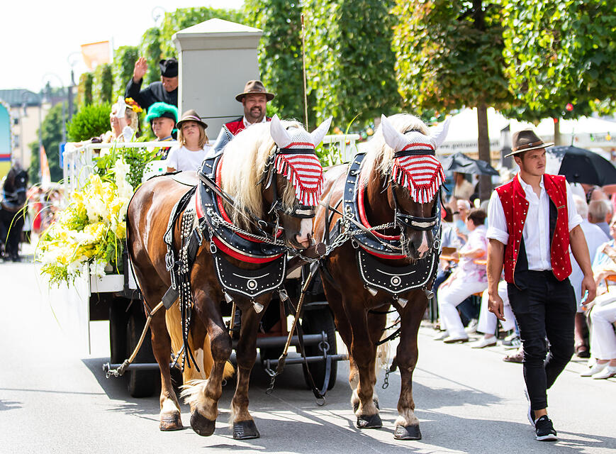 Rakoczy Fest Sonntag