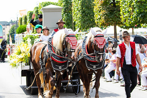 Rakoczy Fest Sonntag